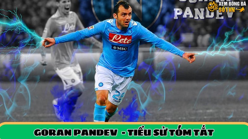 Tiểu sử tóm tắt Pandev